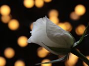 Quelques superstitions du Théâtre moderne